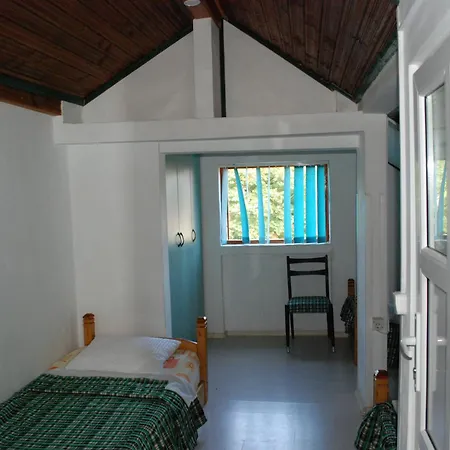 House Costinești