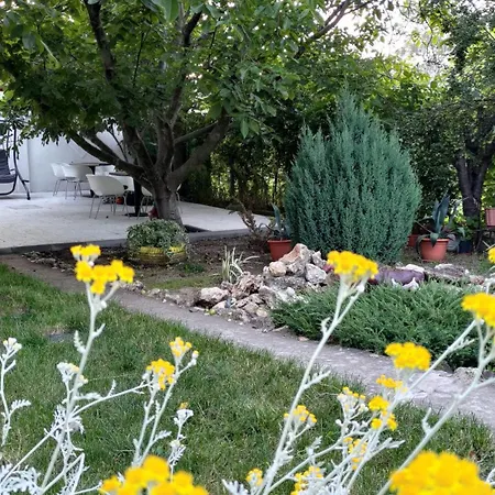 House 3* Costinești